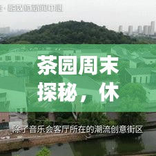 茶园周末探秘,休闲度假好去处