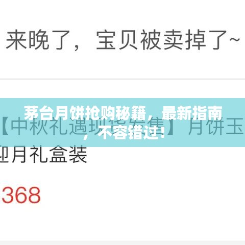 茅台月饼抢购秘籍,最新指南,不容错过!