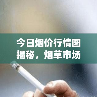 今日烟价行情图揭秘,烟草市场走势全面解析