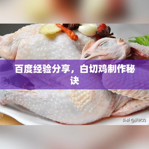 百度经验分享,白切鸡制作秘诀