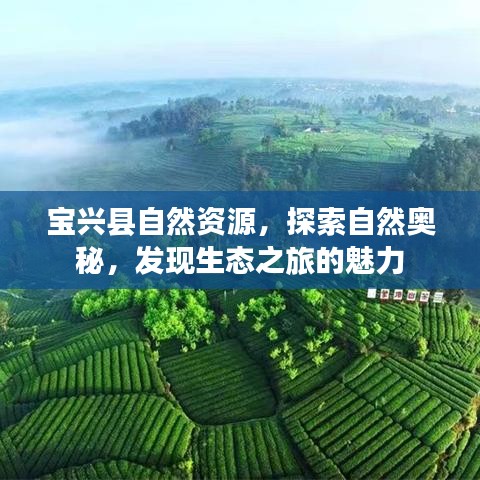 宝兴县自然资源,探索自然奥秘,发现生态之旅的魅力