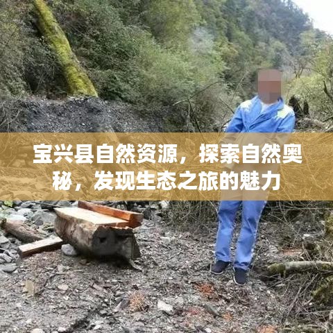 宝兴县自然资源,探索自然奥秘,发现生态之旅的魅力