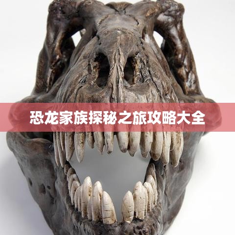 恐龙家族探秘之旅攻略大全