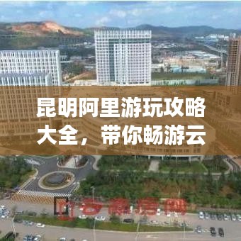 昆明阿里游玩攻略大全,带你畅游云南之美!