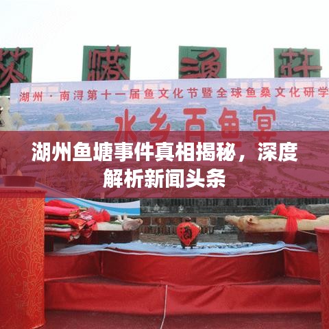 湖州鱼塘事件真相揭秘,深度解析新闻头条