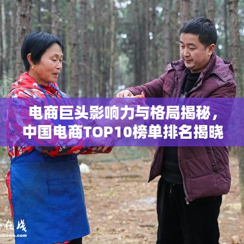 电商巨头影响力与格局揭秘,中国电商TOP10榜单排名揭晓