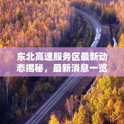 东北高速服务区最新动态揭秘,最新消息一览