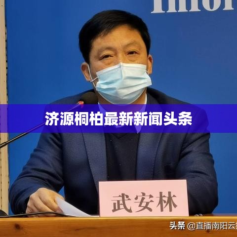 济源桐柏最新新闻头条