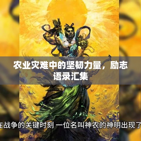农业灾难中的坚韧力量,励志语录汇集