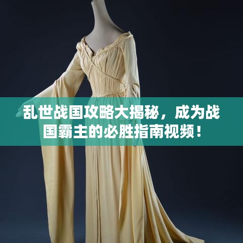 乱世战国攻略大揭秘,成为战国霸主的必胜指南视频!