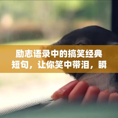 励志语录中的搞笑经典短句,让你笑中带泪,瞬间领悟人生智慧!