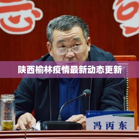 陕西榆林疫情最新动态更新