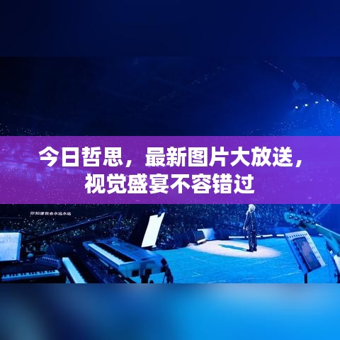 今日哲思,最新图片大放送,视觉盛宴不容错过