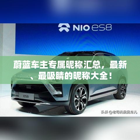 蔚蓝车主专属昵称汇总,最新、最吸睛的昵称大全!