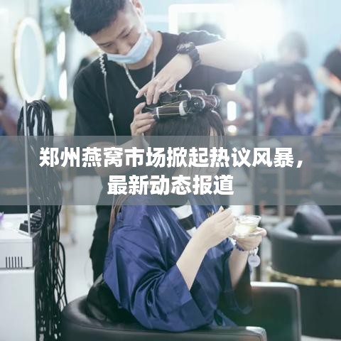 郑州燕窝市场掀起热议风暴,最新动态报道