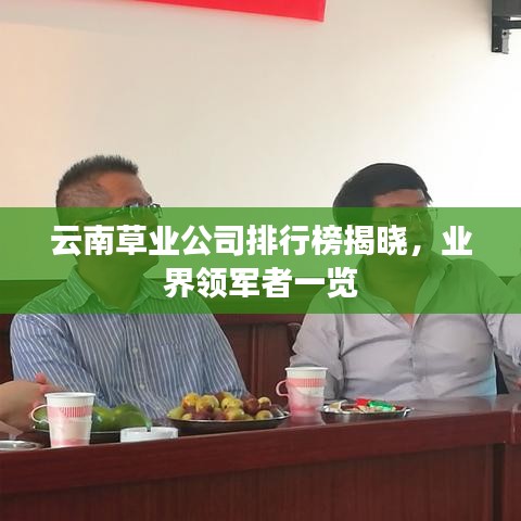 云南草业公司排行榜揭晓,业界领军者一览