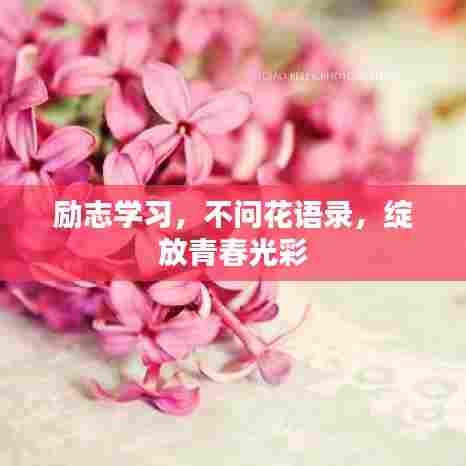 励志学习,不问花语录,绽放青春光彩