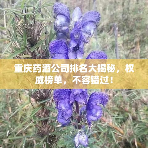 重庆药酒公司排名大揭秘,权威榜单,不容错过!