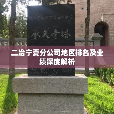 二冶宁夏分公司地区排名及业绩深度解析