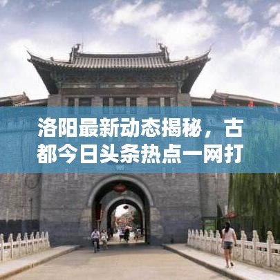 洛阳最新动态揭秘,古都今日头条热点一网打尽