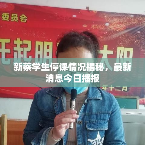 新蔡学生停课情况揭秘,最新消息今日播报