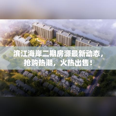 滨江海岸二期房源最新动态,抢购热潮,火热出售!