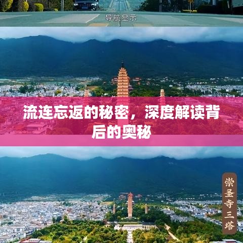 流连忘返的秘密,深度解读背后的奥秘