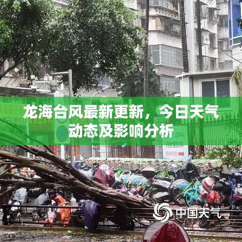 龙海台风最新更新,今日天气动态及影响分析
