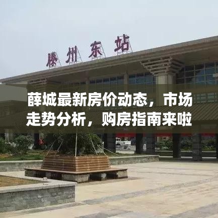 薛城最新房价动态,市场走势分析,购房指南来啦!