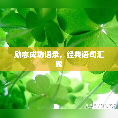 励志成功语录,经典语句汇聚