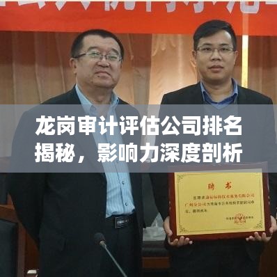 龙岗审计评估公司排名揭秘,影响力深度剖析!