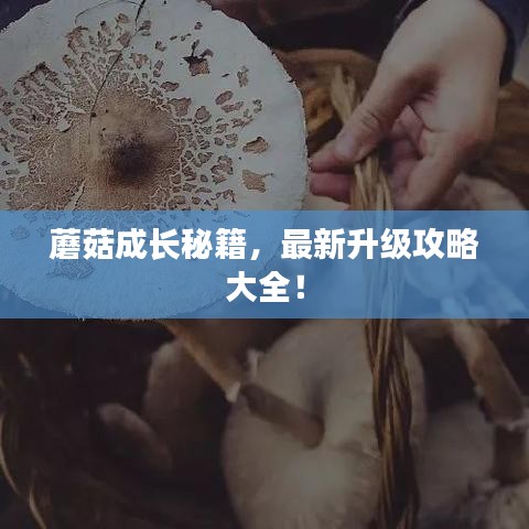 矢志不渝 第3页