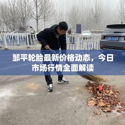 邹平轮胎最新价格动态,今日市场行情全面解读
