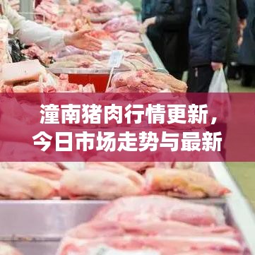 潼南猪肉行情更新,今日市场走势与最新消息