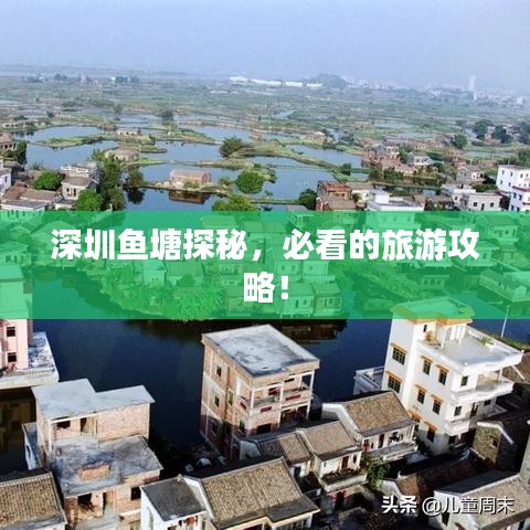深圳鱼塘探秘,必看的旅游攻略!