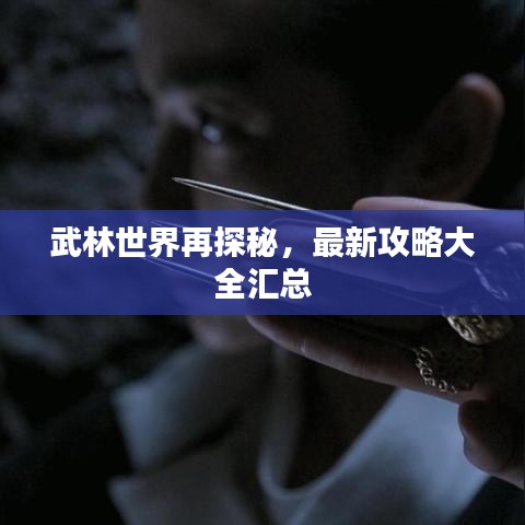 武林世界再探秘,最新攻略大全汇总