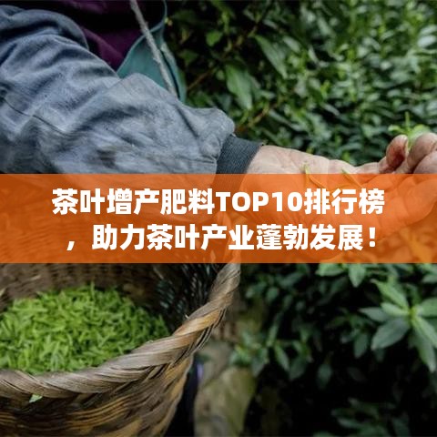 茶叶增产肥料TOP10排行榜,助力茶叶产业蓬勃发展!