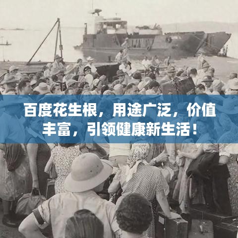 百度花生根,用途广泛,价值丰富,引领健康新生活!