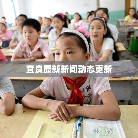 宜良最新新闻动态更新