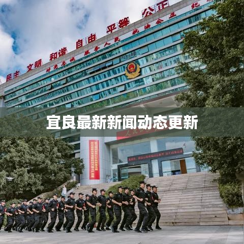 宜良最新新闻动态更新