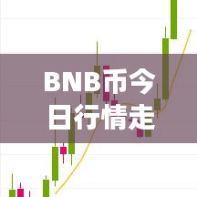 BNB币今日行情走势分析,最新市场动态速递