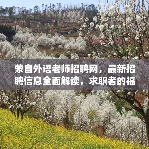 蒙自外语老师招聘网,最新招聘信息全面解读,求职者的福音!