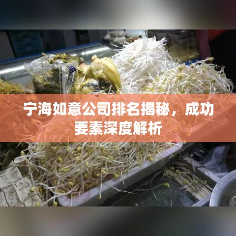 宁海如意公司排名揭秘,成功要素深度解析