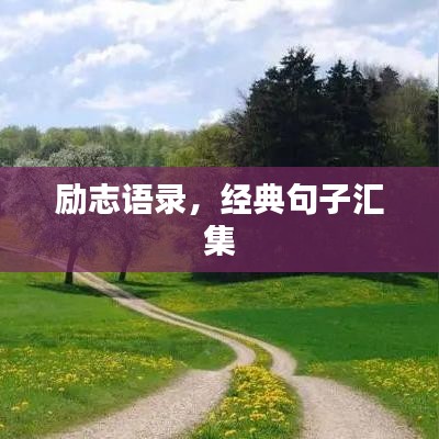 励志语录,经典句子汇集