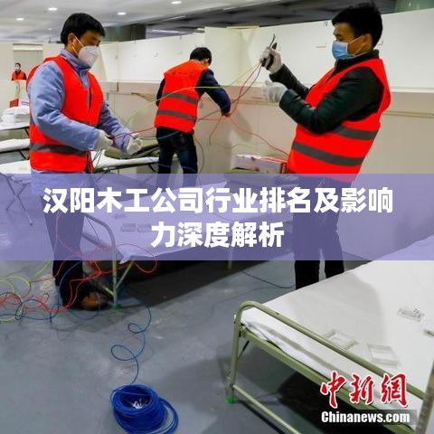 汉阳木工公司行业排名及影响力深度解析