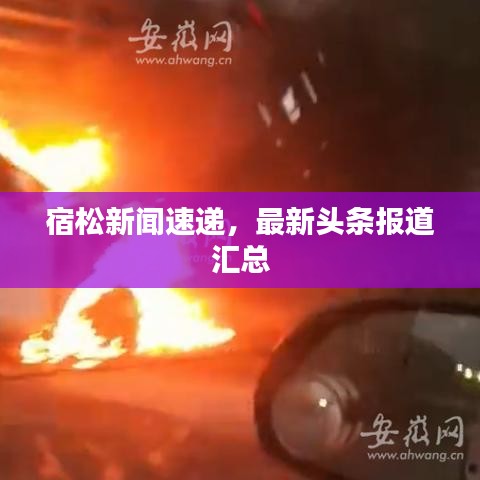 宿松新闻速递,最新头条报道汇总