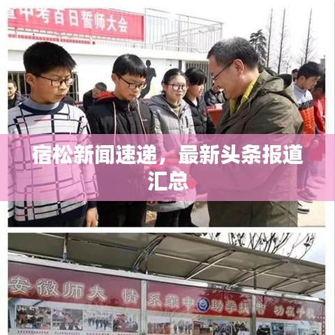 宿松新闻速递,最新头条报道汇总