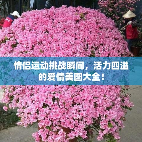 一丝不苟 第4页