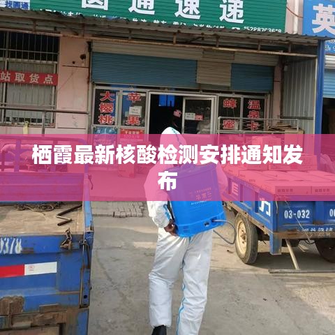 栖霞最新核酸检测安排通知发布