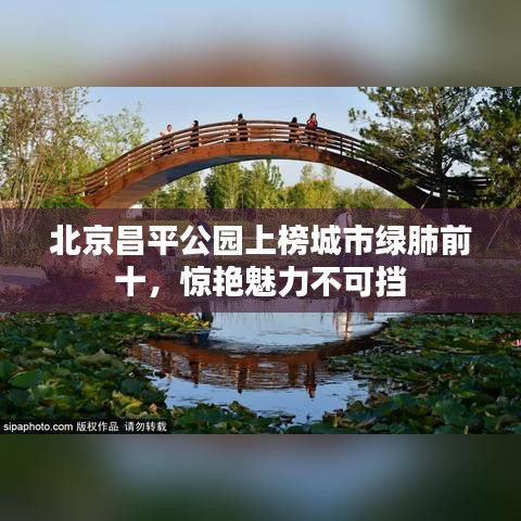 北京昌平公园上榜城市绿肺前十,惊艳魅力不可挡